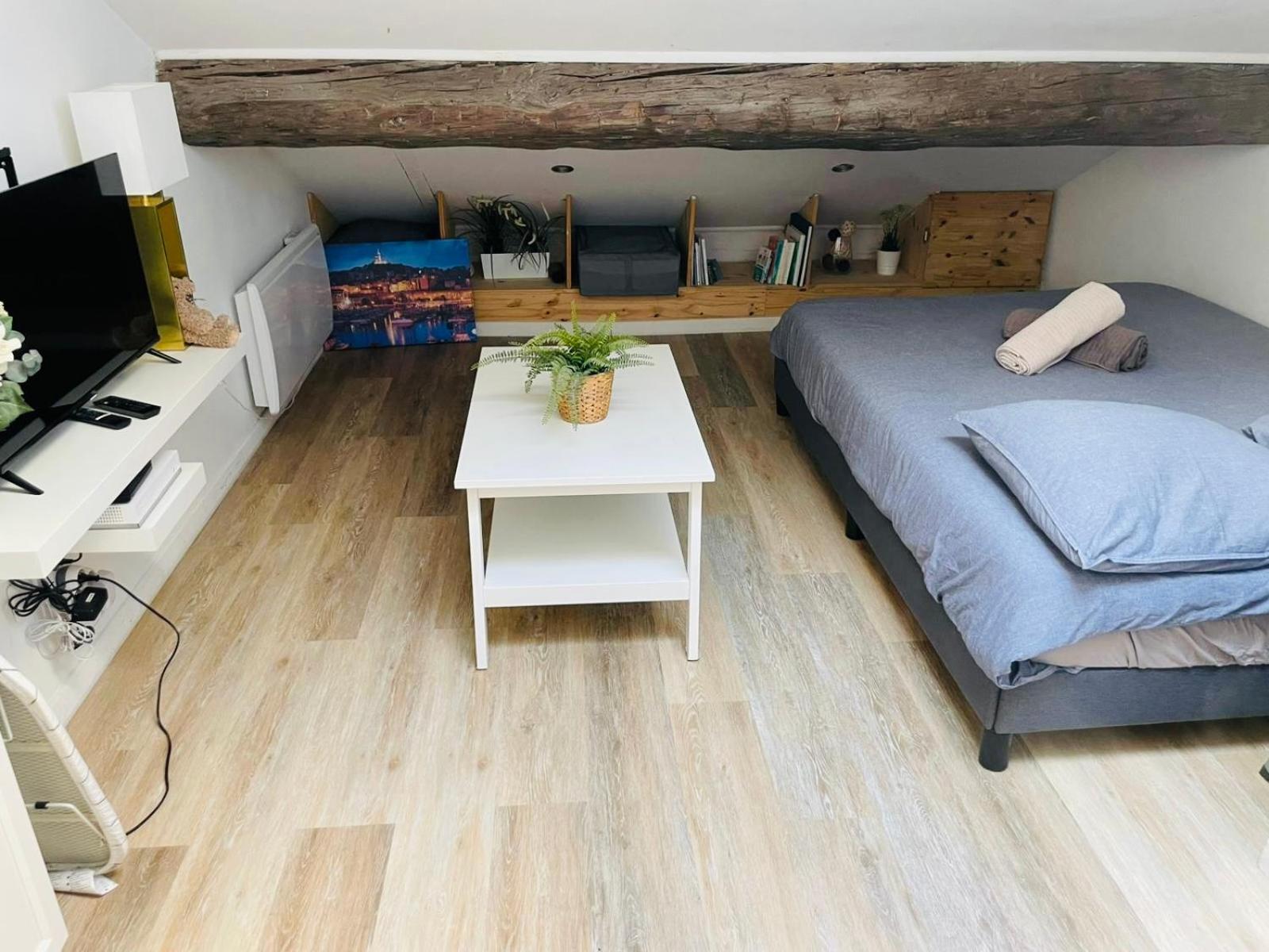 Appartamento Joli Nid Douillet Au Vieux-port